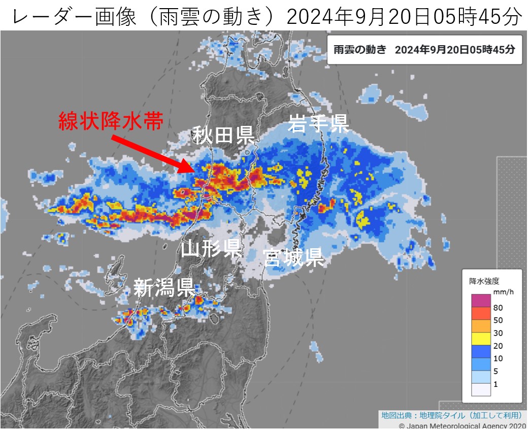 �H�c���Ŕ�����������~���сi2024�N9��20���j