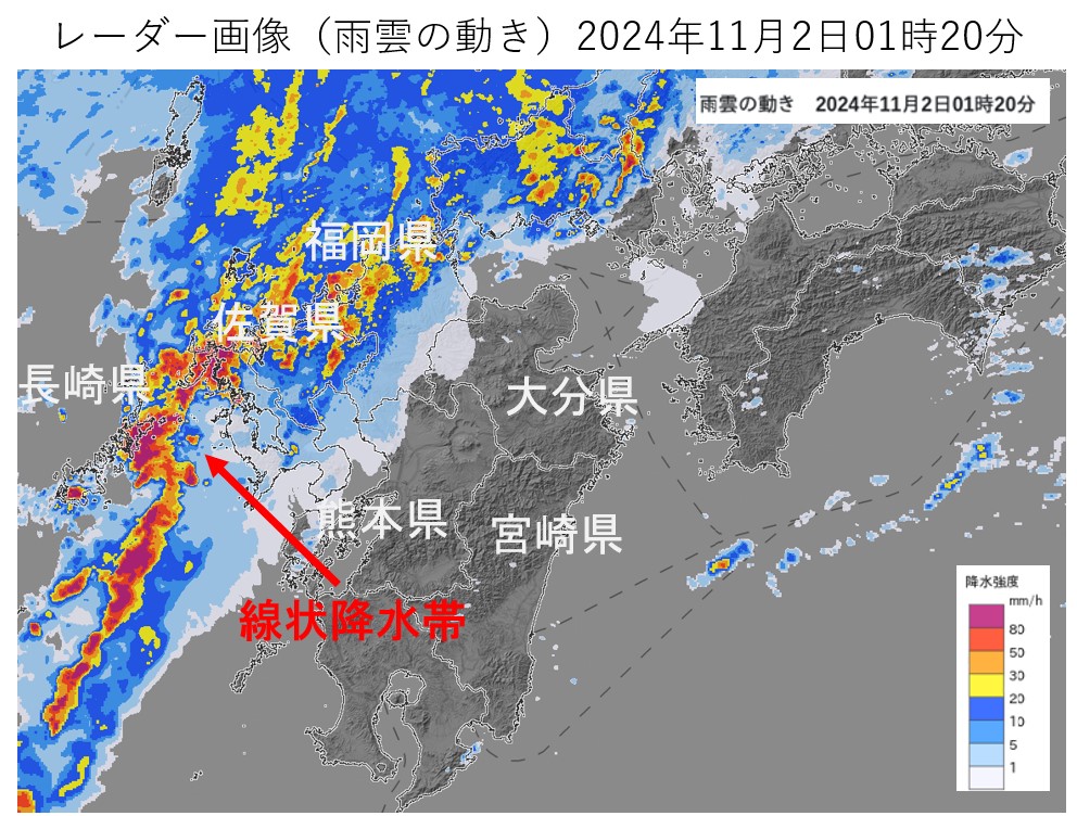 ���茧�Ŕ�����������~���сi2024�N11��2���j