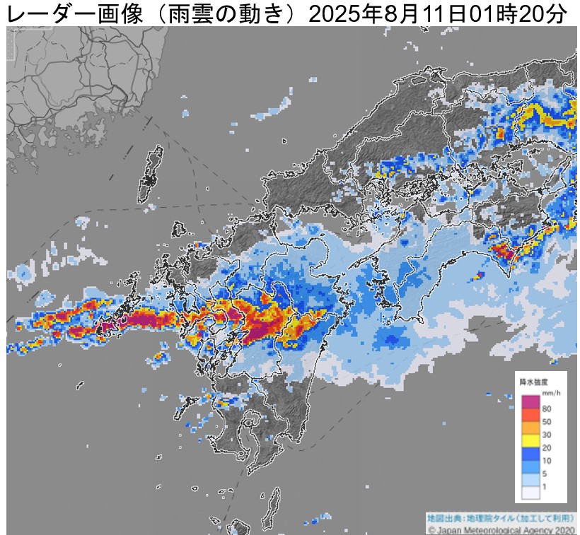 �F�{���Ŕ�����������~���сi2025�N8��11���j