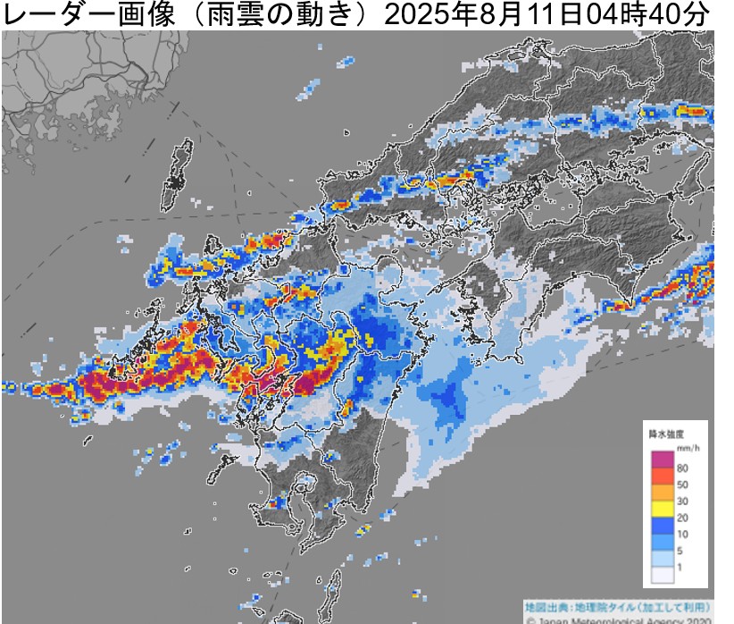 �F�{���Ŕ�����������~���сi2025�N8��11���j