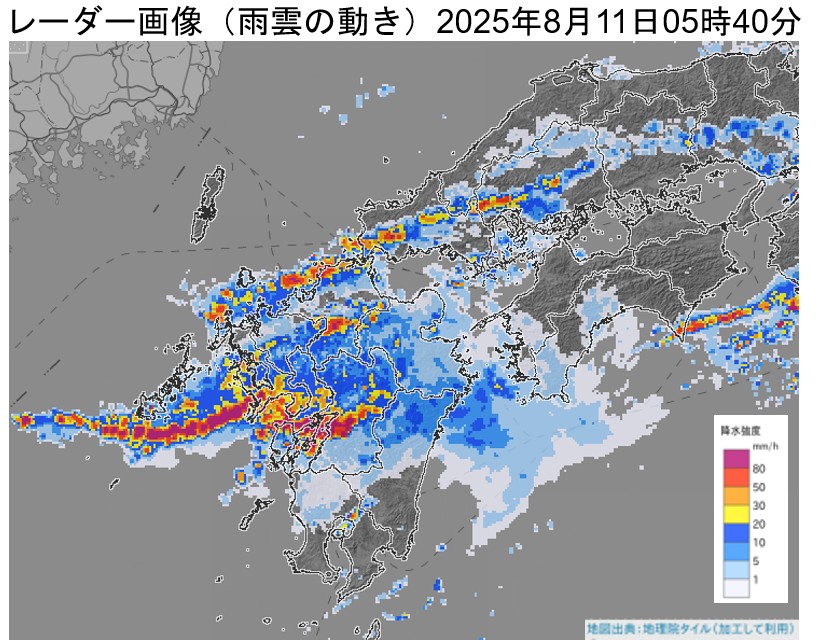 �F�{���Ŕ�����������~���сi2025�N8��11���j