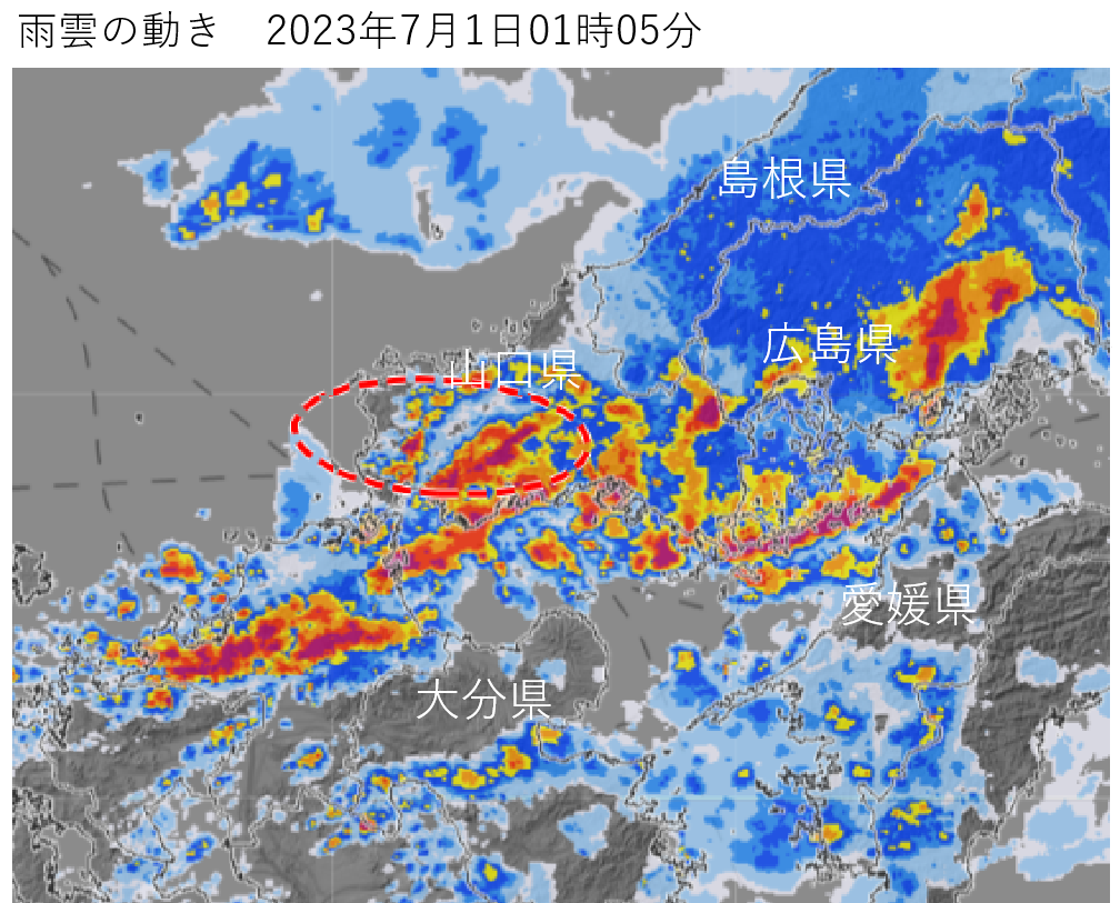 �R�����Ŕ�����������~���сi2023�N�V���P���j